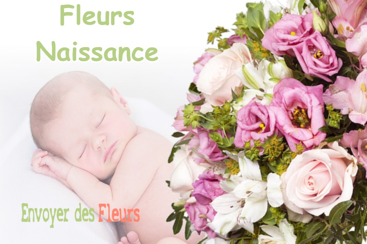 lIVRAISON FLEURS NAISSANCE à CHUELLES